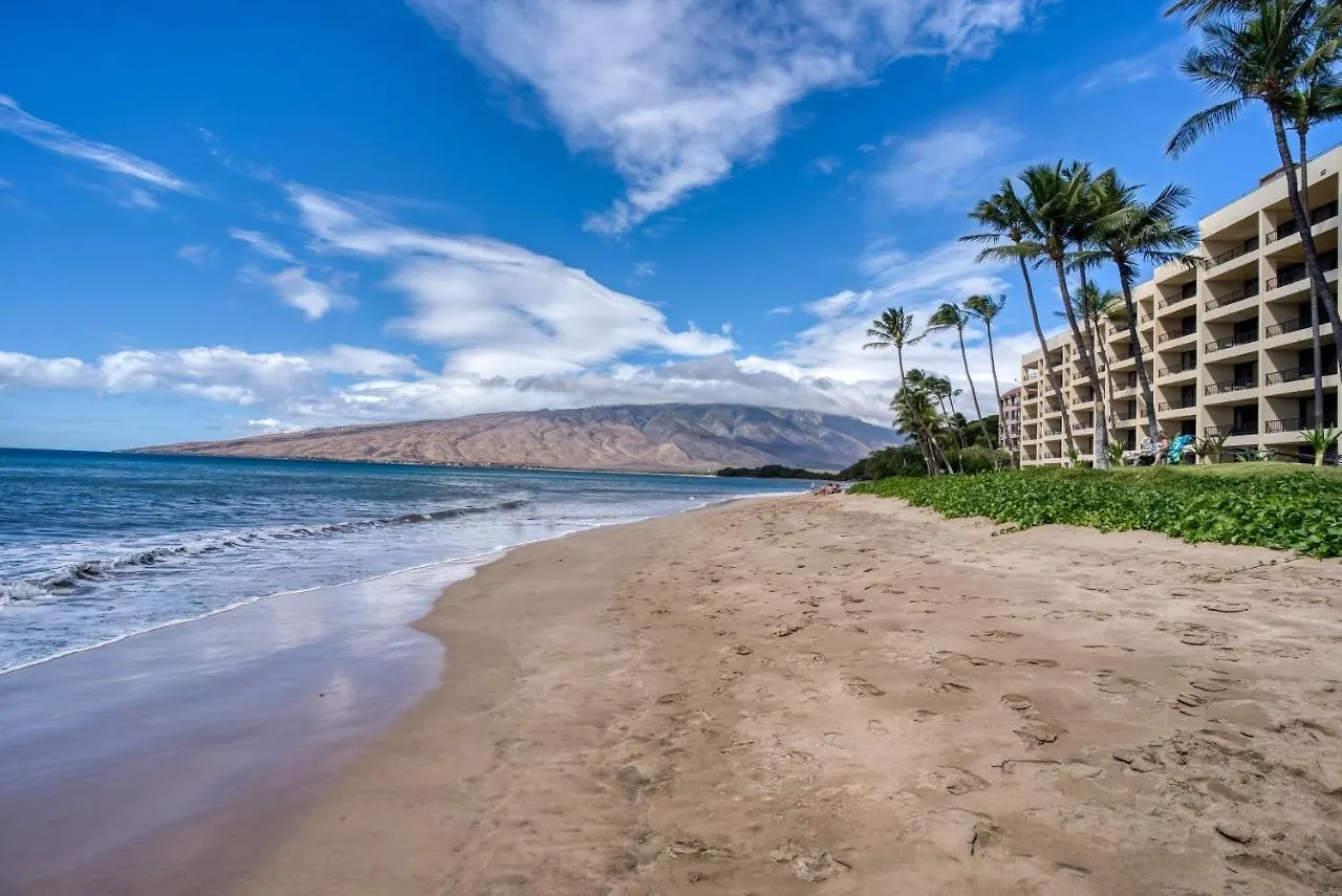 Apartment Sugar Beach 502 Condo Kihei