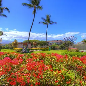 Apartment Maui Vista 2220